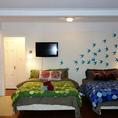 Studio Apartment - East 31St Street #30